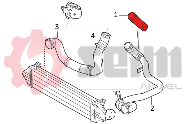 Durites turbo 981824