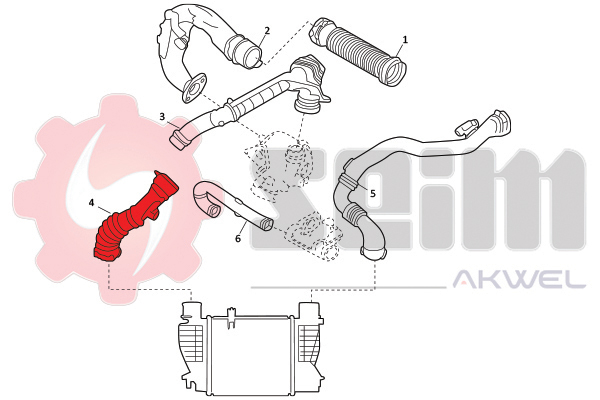 Durites turbo 981904